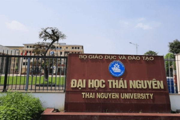 Đại học Thái Nguyên tuyển sinh đại học từ xa ngành Công nghệ thông tin năm 2024